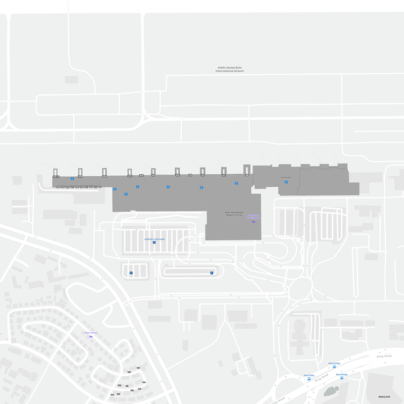 Addis Ababa Bole International Airport terminal map