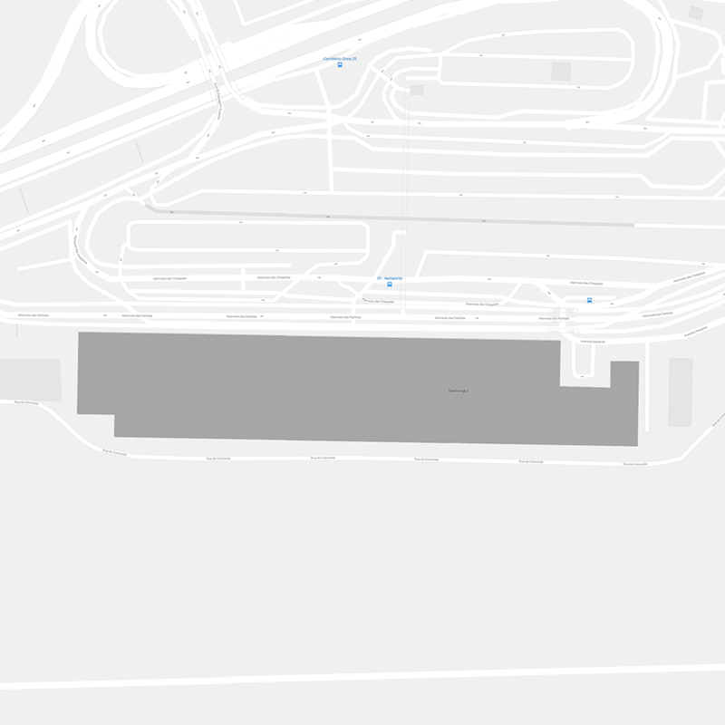 Madeira Airport terminal map