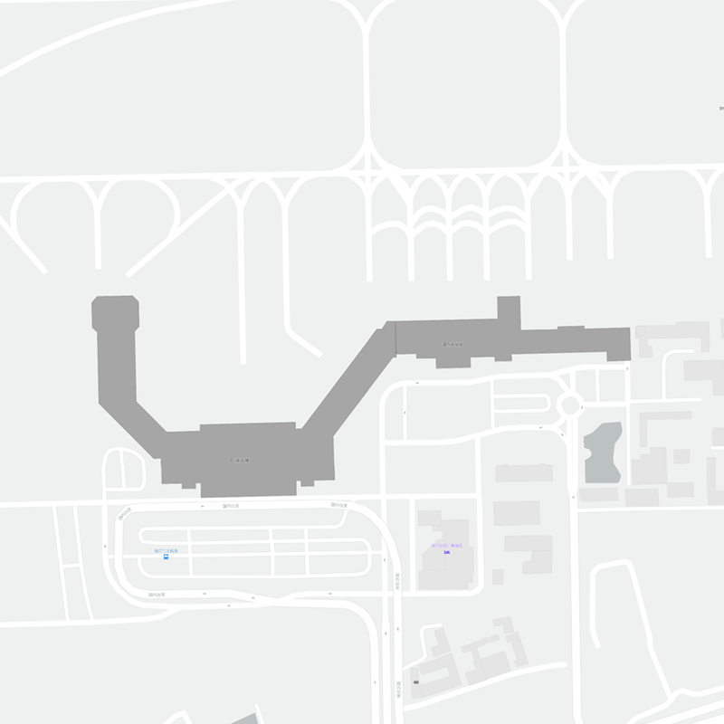 Lijiang terminal map