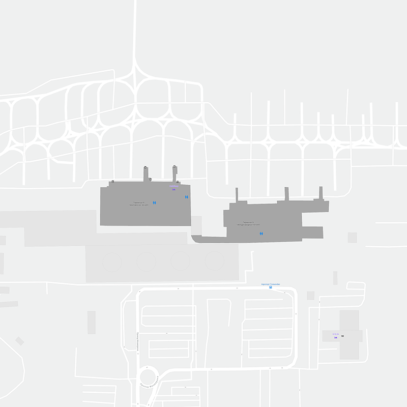 Tolmachevo Airport terminal map